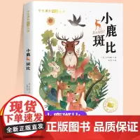 小鹿斑比注音版一年级二年级儿童文学系列课外阅读书籍6-8岁以上适合小学生看的少儿名著故事书小学三年级语文课外阅读经典丛书
