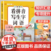 看拼音写词语二年级上册生字注音部编人教版小学生2上组词造句专项训练仿句词语积累大全默写能手一日一练同步练习册语文教材同步