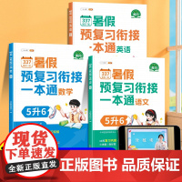 2025新五升六暑假衔接337预复习一本通语文数学全套人教版小学预备五年级升六年级下册专项训练总复习预习教材练习册5升6