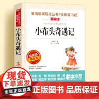 小布头奇遇记无障碍精读版儿童文学系列小学生课外阅读书小学三四五六年级经典书目天地出版社爱阅读课程化丛书名著语文课外读物