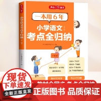 小学生语文考点知识全归纳人教版一二三年级四五六年级全一册小升初知识大盘点同步单元考点汇总大全阅读技巧归类复习资料开心教育