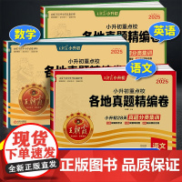 2025王朝霞试卷小升初真题卷重点校各地真题精编卷语文数学英语人教版专项训练押题小学六年级下册小升初系统总复习资料模拟测