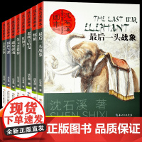 沈石溪动物小说全套8册全集正版画本四五六年级阅读课外书儿童文学书籍适合小学生看的课外书第七条猎狗红奶羊长江少年儿童出版社