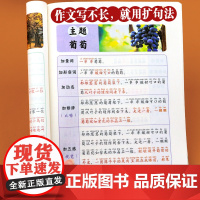 小学语文扩句法每日晨读337看图写话下学期60天优美句段篇积累仿写练习一二三年级五感法写作文好词好句好段大全一看就会优美