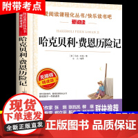 正版哈克贝利费恩历险记小学初中生青少年版四六年级阅读课外书籍哈克贝利芬 密西西比河上的生活中文版 人民文学天地出版社