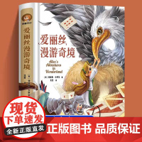 爱丽丝漫游奇境正版六年级下册必读的课外书快乐读书吧老师的青少年儿童读物文学名家作品精选 2024寒假小学生阅读书目6年