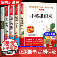 小英雄雨来管桦宝葫芦的秘密张天翼繁星春水冰心十万个为什么四年级下册必读课外书书目全套米伊林青铜葵花正版曹课外阅读书籍