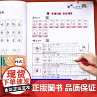 二年级下册练字帖语文同步字帖人教版 小学二年级生字练字帖每日一练小学生专用2年级字帖带笔画笔顺描红硬笔书法田字格练字本