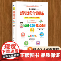 图解感觉统合训练书籍认知训练学前儿童感觉统合训练如何培养引导孩子儿童敏感期多动症专注力训练育儿书籍父母必读感统训练书籍
