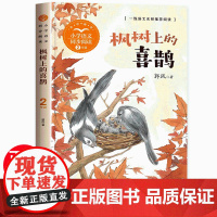 枫树上的喜鹊二年级下册课外阅读书必读老师课文作家作品经典书目小学语文教材配套同步阅读儿童文学读物6-8-10岁以上非注音