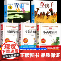 全套5册 青铜葵花正版曹小英雄雨来四年级下册必读课外书快乐读书吧小英雄雨来草房子完整版宝葫芦的秘密张天翼细菌世界历险记