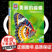 美丽的蝴蝶8-10-12岁德国少年儿童百科知识全书 什么是什么was ist was珍藏版 小学生课外阅读书籍十万个为什