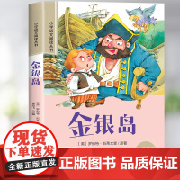 金银岛正版注音版 小学生阅读课外书籍 一年级二三年级必读的课外书世界经典文学名著 带拼音的儿童读物6岁以上睡前故事书