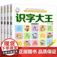 识字书幼儿认字 识字大王全套4册 幼儿启蒙早教书识字 幼儿园认字神器 学前儿童宝宝看图识字绘本3-4-5-6岁幼小衔接识