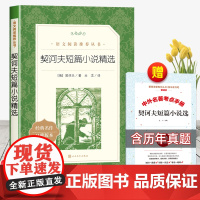 契诃夫短篇小说选人民文学出版社精选九年级下册初三必读正版原著近代小说短篇小说集青少年爱看初中生契科夫老师
