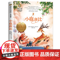 小鹿斑比国际大奖儿童文学小说8-10-12岁小学生三四五六年级课外书籍 正版小学生课外阅读书籍青少年版儿童文学书籍