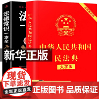民法典入门正版 民法典理解与适用全套法律常识普及书籍相关司法解释汇编 中华人民共和国民法典注释本法律常识一本全法律正版书
