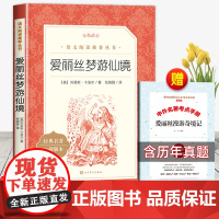 爱丽丝梦游仙境六年级下册必读课外书原著正版人民文学出版社爱丽丝漫游奇境记小学生三年级四五年级课外阅读书籍快乐读书吧