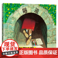 隧道绘本精装硬壳硬皮儿童绘本0-3-6岁安东尼布朗作品图画书系列儿童亲子情商故事21二十一世纪出版社公司小学生一二年级阅
