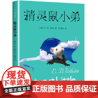 精灵鼠小弟 原版正版 怀特著任溶溶译 上海译文出版社小学生课外阅读书籍 三四五六年级课外书必读经典书目图书故事书文学老师