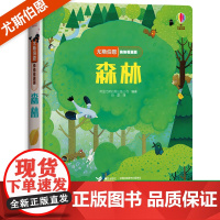 尤斯伯恩偷偷看里面系列揭秘森林儿童立体书3-6-8岁翻翻书 咬撕不烂科普书籍启蒙早教益智认知百科全书幼儿图画书3d绘本奇