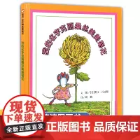 精装硬壳克丽桑丝美美菊花绘本信谊绘本系列儿童亲子阅读睡前故事书 精装硬壳绘本