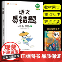 2024新版 六年级下册语文易错题同步训练部编人教版单元教材全解小学6下知识大全生字词语练习册考点总结练习题阅读理解专项
