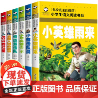 闪闪的红星正版书小英雄雨来铁道游击队一二年级课外阅读红色经典书籍小学生版注音版拼音儿童少年英雄王二小抗日战争革命人物故事