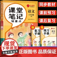 2025春季新版六年级下册语文课堂笔记人教版 小学6年级下学期人教正版教辅书同步练习课本教材解析讲解全解随堂学霸辅导预习