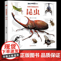 [大开本]昆虫百科全书 经典科普图鉴系列 3-5-6岁幼儿童小中大班昆虫大百科书籍小学生一二三四年级科普大百科绘本儿童版