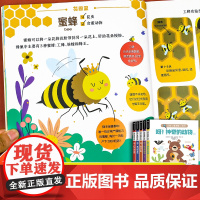 全套5册 法国引进宝宝启蒙认知早教书1一2-6岁4岁儿童科普绘本经典必读 动物认知书0到3岁早教书籍一两三岁幼儿阅读趣味