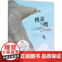 桃雀与鹰 寓言故事 教育普及少儿自我认知 接纳个性 互助协作 江苏凤凰少年儿童出版社 了解他人的需求 不时提供帮助的重