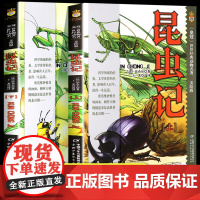 全套2册昆虫记法布尔三年级必读 中国少年儿童出版社 小学生四五六年级课外阅读书籍经典书目少儿版故事书 正版原著完整版