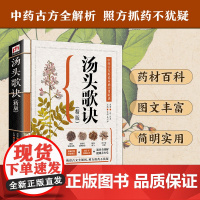 汤头歌诀白话解释意正版书籍中医养生疗养秘籍图解中药百科大全古方保健养生中医入门级书中医基础理论教材书中医书籍大全自学教程