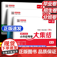 2025新一本小升初考卷大集结语文数学英语 六年级小升初总复习人教版真题卷2024考试必刷题真题测试卷毕业卷招生卷分班卷