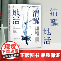 清醒地活:超越自我的生命之旅 迈克尔辛格著冥想大师探索内心认识自我内在能量来源和觉察束缚心灵成长阻碍觉察清醒的自我