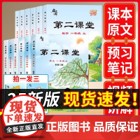 2024新版第二课堂一年级下册二三四五六年级小学语文数学英语人教版北师大版启学霸七彩课堂天天练教材全解随堂笔记同步练习册