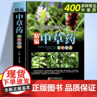 精编中草药原色图谱正版中国药典中草药全图鉴中国药材 中医书籍大全中药材医药 300余种常用中草药识别中医书 中医养生书籍