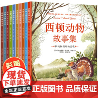 西顿野生动物故事集全套10册彩图注音版动物记原著正版小学生课外阅读书籍一二年级必读百科动物小说之父儿童读物6岁以上8老师