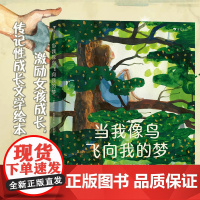 当我像鸟飞向我的梦 8-12岁青少年成长励志文学绘本 一个女孩追求梦想、坚持自我的励志故事绘本 瑞典文学奖作品 后浪童书