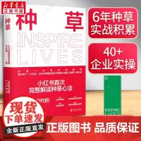 种草 小红书营销实验室,小红书完整解读种草心法 浙江文艺出版社 正版书籍