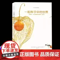 一粒种子中的世界意大利生态教育绘本3到6岁儿童书籍幼儿园阅读专用揭秘神奇能力一本颠覆孩子对种子认知与想象的书讲述了奇妙故