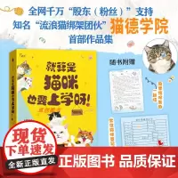 正版 流浪猫救助顶流—猫德学院首部作品集 《就算是猫咪也要上学呀!》一场人与猫、人与城市的相互救赎 白马