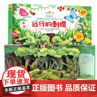 好好玩神奇生命立体书第二辑 远行的刺猥 儿童3d立体翻翻书 洞洞书籍0-2-3-6-10-12周岁幼儿绘本读物益智启蒙早