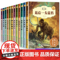 正版全套沈石溪动物小说大王全集十大经典必读小学生三四至五六年级课外书必读的作品阅读书籍儿童读物8-10岁以上老师品藏书系