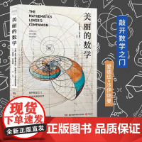 美丽的数学 一本独具特色的数学科普书 数学家爱德华·沙伊纳曼 带你敲开数学之门 走进美丽新世界 正版书籍
