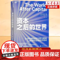 资本之后的世界 阿尔伯特·温格力作 从资本到注意力人类如何应战经济奇点 AI数字技术时代生存法则 投资者生存指南