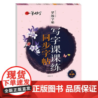 sdlj2二年级下册练字帖配套人教版 小学语文同步字帖每日一练 小学生专用正版钢笔字帖练字楷书写字课课练衡水体英语字帖上