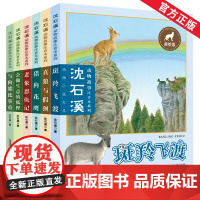 [抖音同款]彩绘注音版全套6册沈石溪动物小说系列全集斑羚飞渡孩子体会生命意志一二三四五六年级小学生课外阅读正版书籍6-1