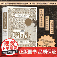 智慧宫丛书017·魔法四万年:克里斯·戈斯登著 耶路撒冷三千年作者西蒙·蒙蒂菲奥里倾情 巫术、占星与炼金术